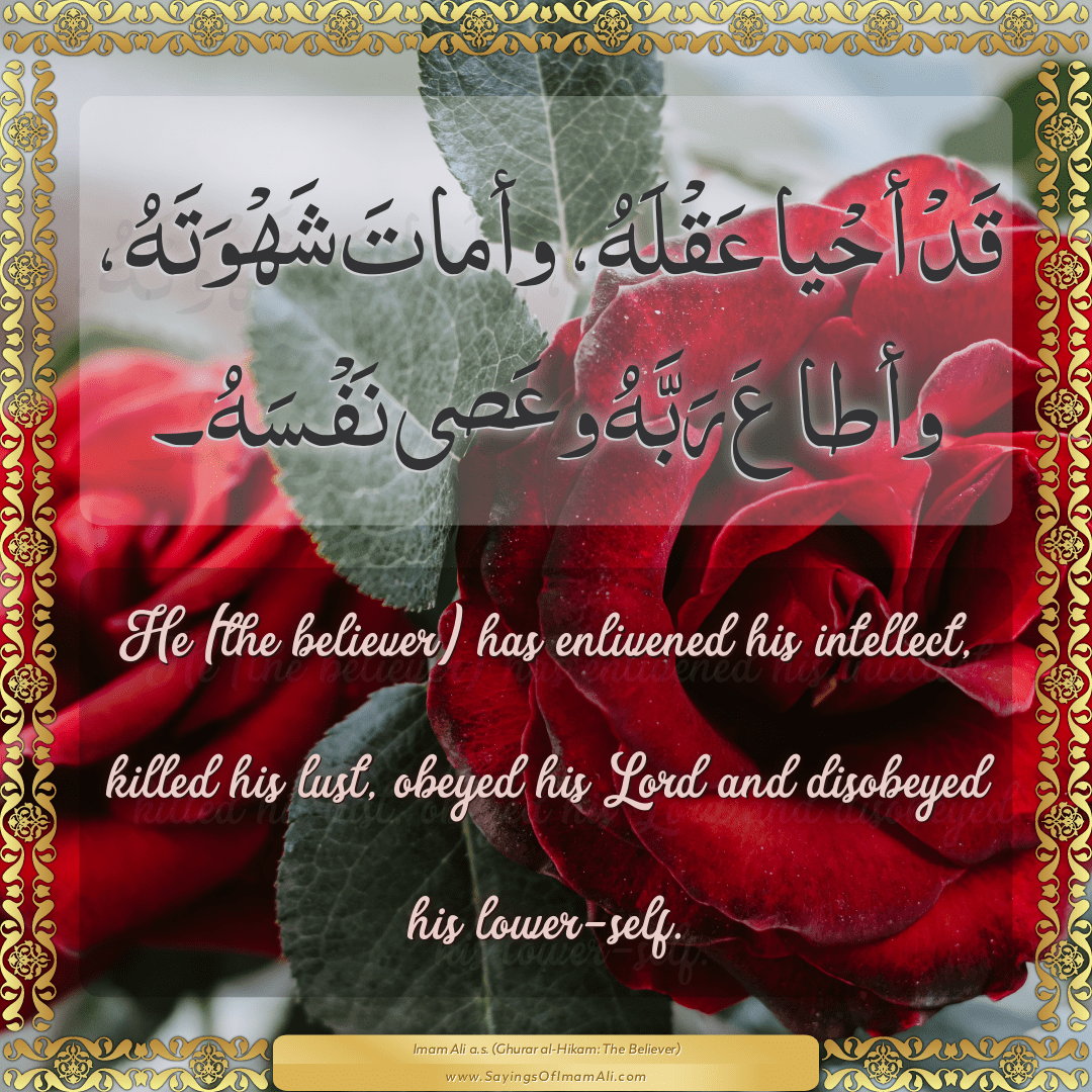 He (the believer) has enlivened his intellect, killed his lust, obeyed his...